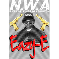 idol singer-GS  1321